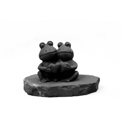 lyagushata_vlyublennie_1