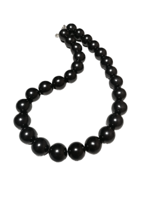 IMG_2024_01_24_09_21_04_3746743695812495590686-fotor-bg-remover-2024012492132