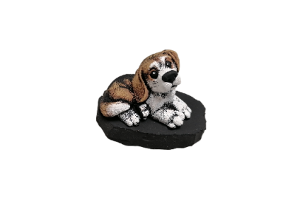 IMG_2024_03_05_14_10_57_0234980069909233310862-fotor-bg-remover-2024030695457