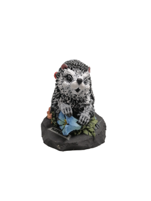 IMG_2024_03_05_13_58_21_3246355651311517748779-fotor-bg-remover-202403069564