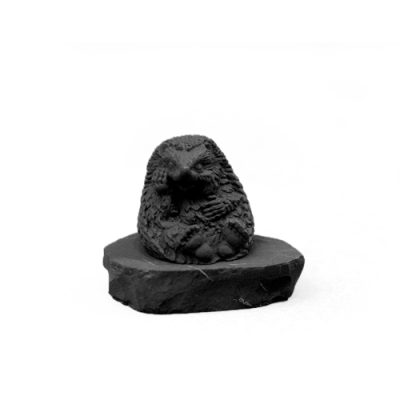 ezik_mal_vass_sidit_1