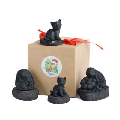 Центр шунгита-679-редакт