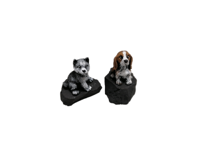 IMG_2024_03_05_14_23_33_4111366794407522818868-fotor-bg-remover-20240305142357