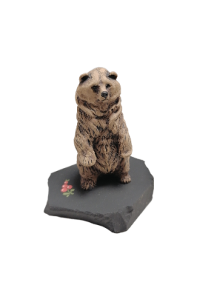 IMG_2024_03_05_14_17_07_1278027939766698392021-fotor-bg-remover-20240305141756