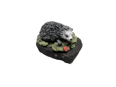 IMG_2024_03_07_09_11_38_2287430934083972936298-fotor-bg-remover-202403079125