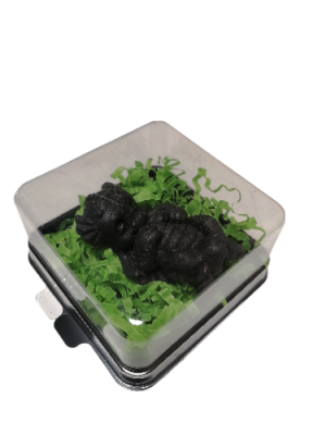 IMG_2024_01_24_09_19_12_6182480364400903852206-fotor-bg-remover-2024012491946-fotor-bg-remover-20240125121956