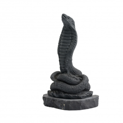 змея - символ 2025