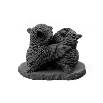 sovi_vlublennie_s_rozoi_2