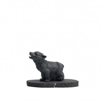 Центр шунгита-028-редакт