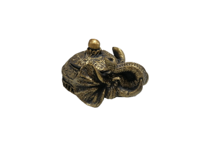 IMG_2024_03_05_13_53_03_4806539307121292951562-fotor-bg-remover-20240305135427