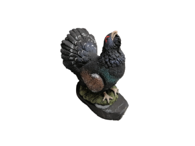 IMG_2024_03_05_12_49_45_2447623307540388630826-fotor-bg-remover-20240305125012