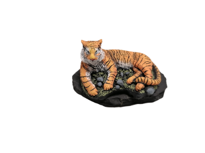 IMG_2024_03_05_14_15_52_2467929097402382992875-fotor-bg-remover-20240305141614