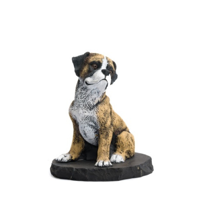 Центр шунгита-087-редакт