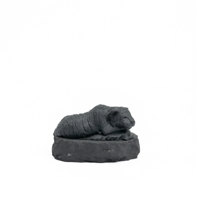 тигренок мал в асс3