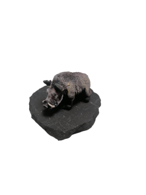 IMG_2024_03_05_14_26_32_828678321280734391978-fotor-bg-remover-2024030514278