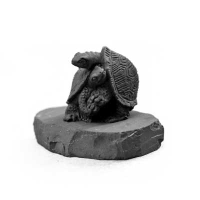 cherepashki_vlyublenniye_1