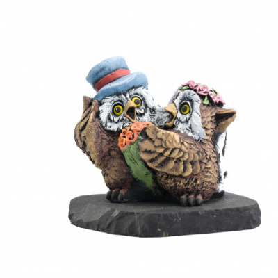 совы жен и невеста росп