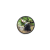 magnit_givotnie_4