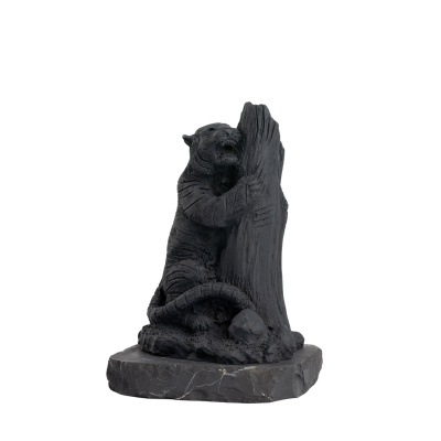 Центр шунгита-706-редакт