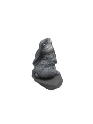 IMG_2024_03_05_14_27_14_9312723049674239558740-fotor-bg-remover-20240305142743