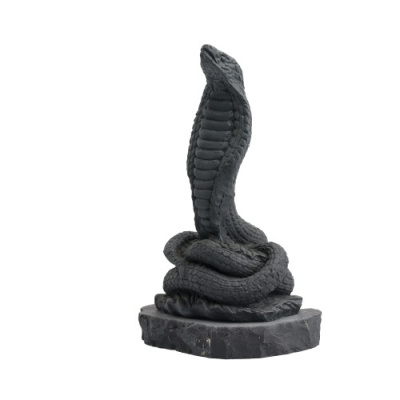 змея - символ 2025