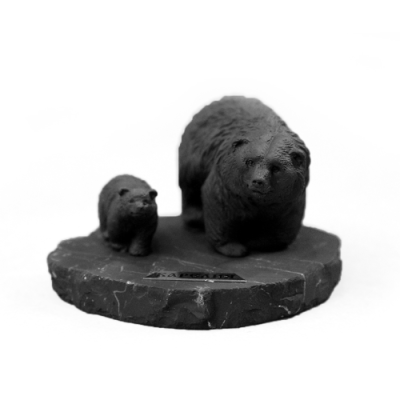 medvedica_s_medvegonkom_novaya_1