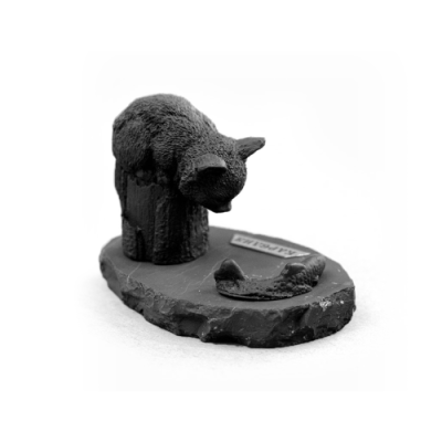 kotenok_na_ribalke_1