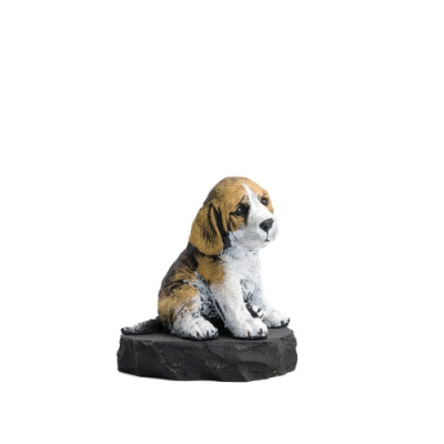 Центр шунгита-093-редакт