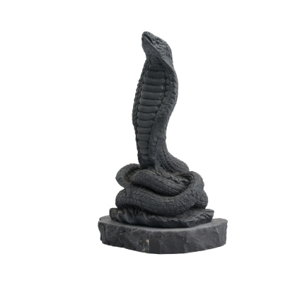 змея - символ 2025