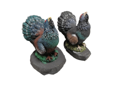 IMG_2024_03_05_13_44_14_8497699636996672102323-fotor-bg-remover-2024030695735