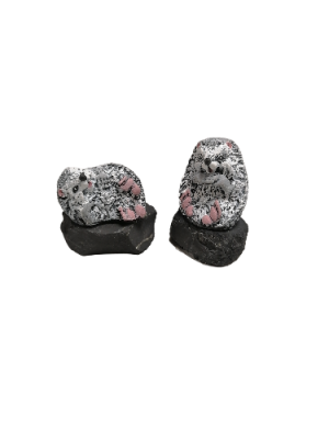 IMG_2024_03_05_14_03_46_896708549024108084767-fotor-bg-remover-2024030695518