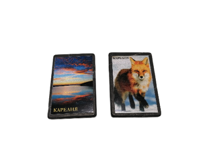 IMG_2024_03_07_11_15_00_4717335884005202009995-fotor-bg-remover-20240307111532