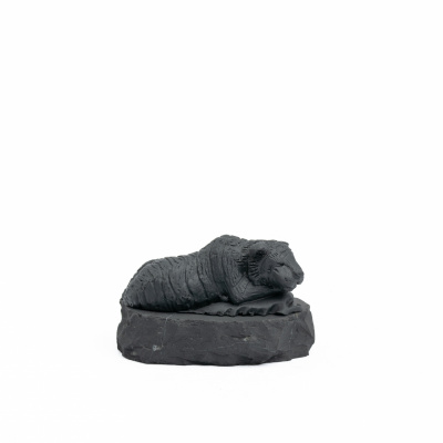 тигренок мал в асс3