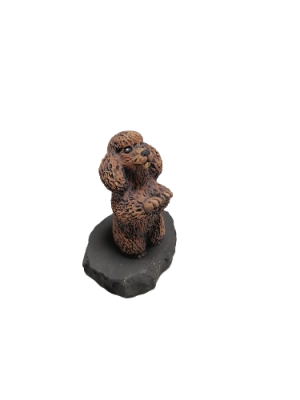 IMG_2024_03_05_14_21_09_6781999218349834974315-fotor-bg-remover-20240305142131